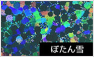ぼたん雪